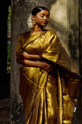 Gold Tissue Designer Blouse