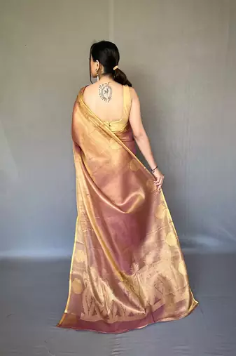 Tissue Silk Saree Jacquard Zari Weaving Saree With Jacquard Weaving Border Having Rich Saree