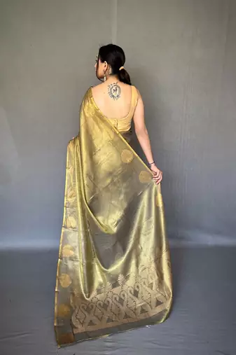 Tissue Silk Saree Jacquard Zari Weaving Saree With Jacquard Weaving Border Having Rich Saree