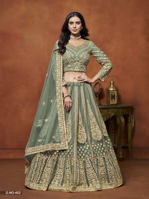Light_Green Embroidered Net Designer Lehenga With Blouse 1