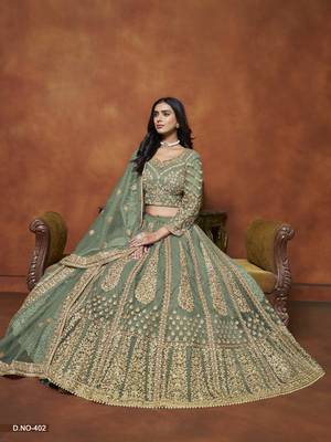 Light_Green Embroidered Net Designer Lehenga With Blouse 2