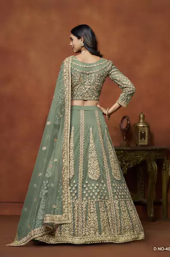 Light_Green Embroidered Net Designer Lehenga With Blouse