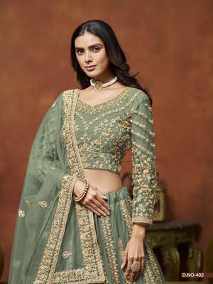 Light_Green Embroidered Net Designer Lehenga With Blouse 4