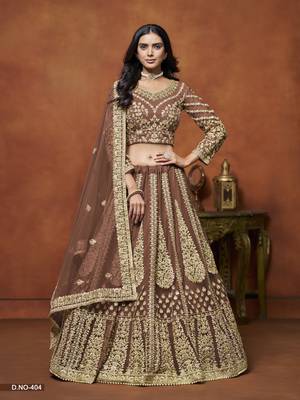 Brown Embroidered Net Designer Lehenga With Blouse 1