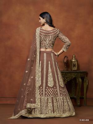 Brown Embroidered Net Designer Lehenga With Blouse 3