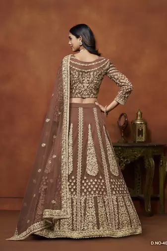 Brown Embroidered Net Designer Lehenga With Blouse