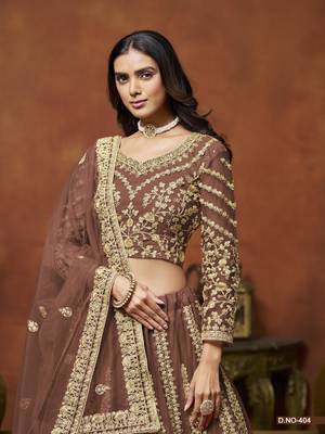 Brown Embroidered Net Designer Lehenga With Blouse 4