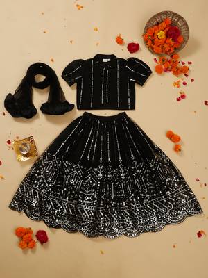 Saka designs heavy embroidery and mirror work black lehanga choli with dupatta 1