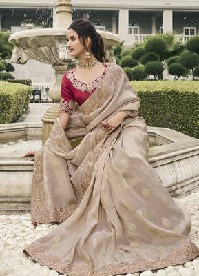 Beige tissue embroidered saree 2