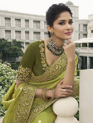Light olive tissue embroidered saree 2
