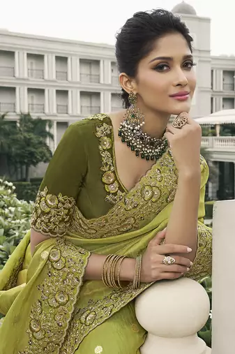 Light olive tissue embroidered saree