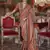 Soft silk stripped patola saree for women (lightbrown)