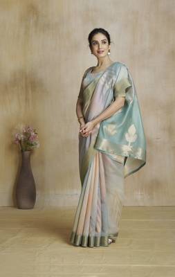 Grey fancy fabric with digital print saree with blouse 2
