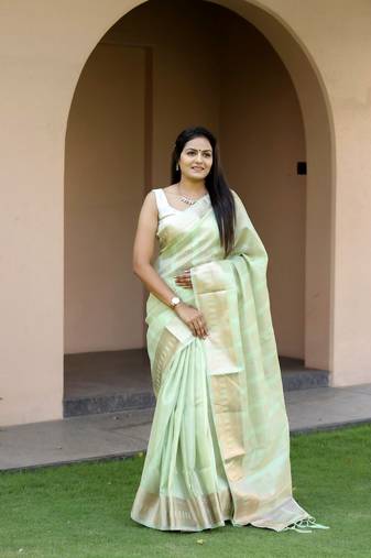 Light-Green Soft Cotton Silk Sequence Work And Jacquard Border Design Saree,Blouse-not As Per Image