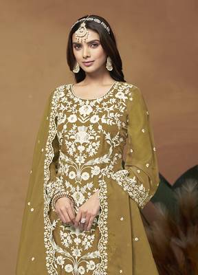 Olive organza embroidered pakistani salwar kameez 3