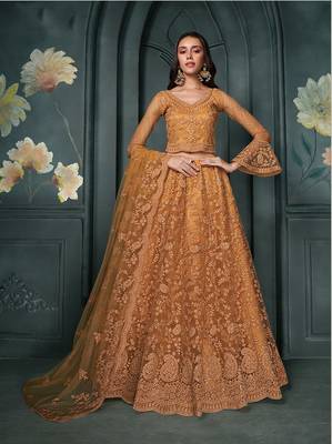 Rust Embroidered Net Lehenga Choli 1