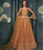 Rust Embroidered Net Designer Lehenga Choli
