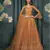 Rust Embroidered Net Lehenga Choli