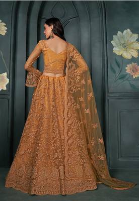 Rust Embroidered Net Lehenga Choli 2