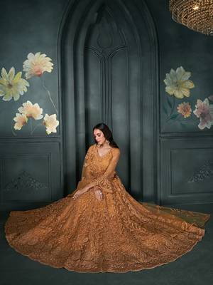 Rust Embroidered Net Lehenga Choli 3