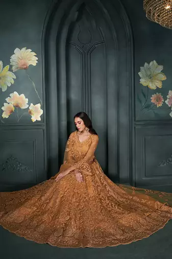 Rust Embroidered Net Lehenga Choli