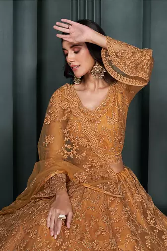 Rust Embroidered Net Lehenga Choli