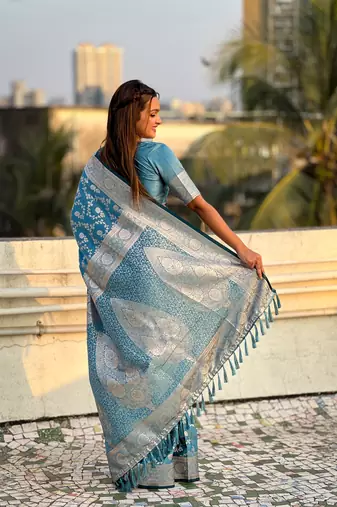 Butterfly blue banarasi jaal satin silk pink zari woven saree
