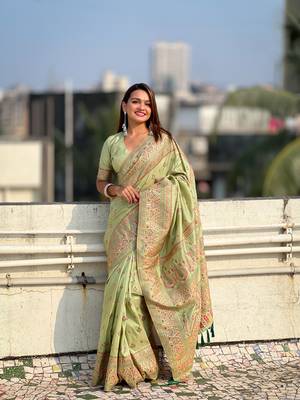 Pistachio green pashmina kashmiri silk zari woven saree 1