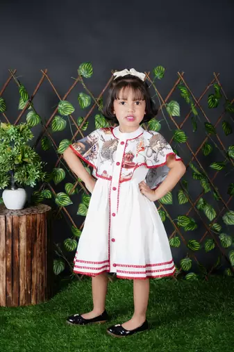 White Lion Printed Dress