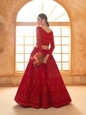 Red Cording & Thread Embroidered With Stone Work Lehenga Choli 4