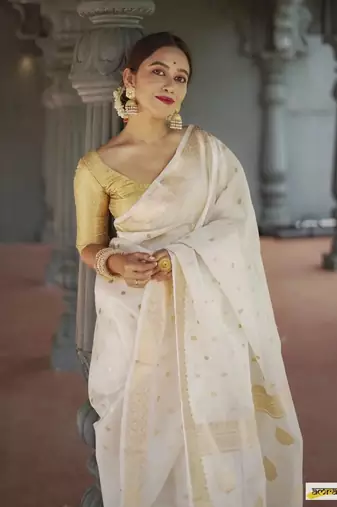 woven art silk Cotton saree with blouse