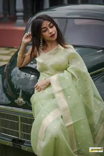 Cotton woven art silk saree with blouse