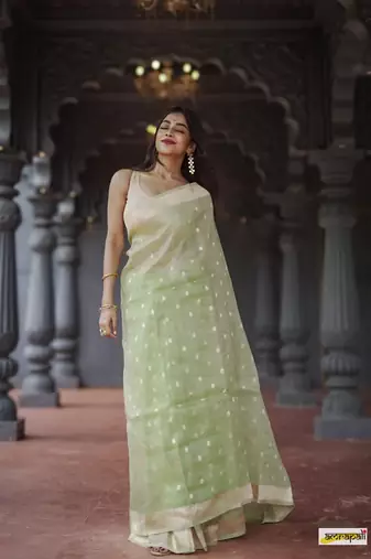 Cotton woven art silk saree with blouse