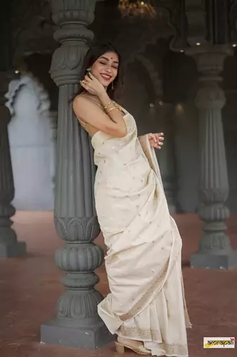 Cotton woven art silk saree with blouse