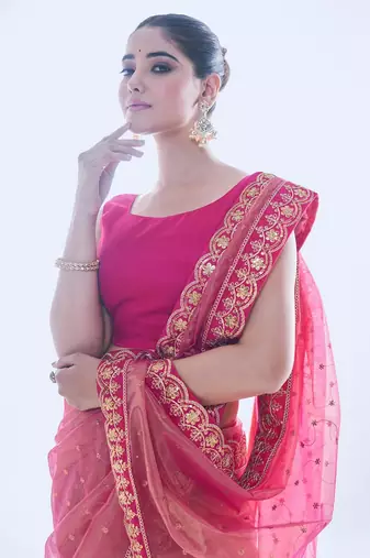 Pink golden net partywear sequins embroidery work ethnic saree