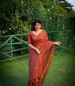 Red Khadi Tussar Silk Saree With Thread Work And Multicolour Kantha Stitch Border With Blouse