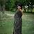 Black Khadi Tussar Silk Saree With Thread Work And Multicolour Kantha Stitch Border With Blouse