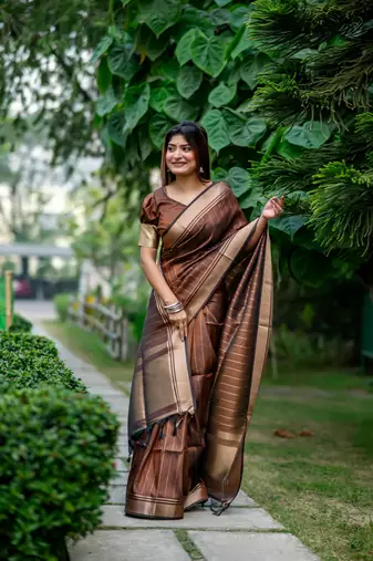 Brown Raw Silk Saree With All Over Zari Weaving Pattern With Running Blouse Piece