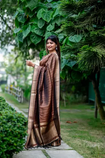 Brown Raw Silk Saree With All Over Zari Weaving Pattern With Running Blouse Piece
