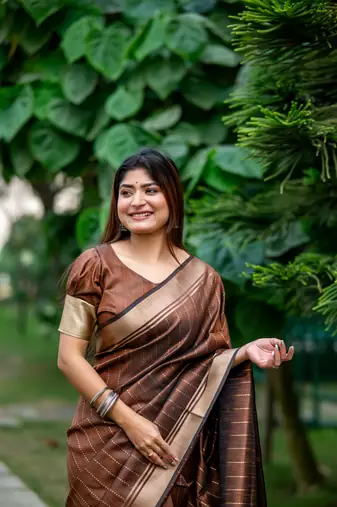 Brown Raw Silk Saree With All Over Zari Weaving Pattern With Running Blouse Piece