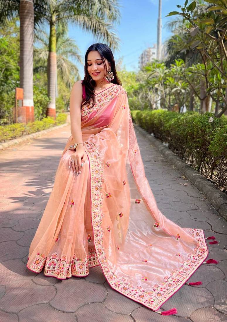 Peach Colour Twil Net Thread Work Saree