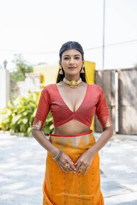 Mustard Semi Tussar Silk bland tample border saree with Blouse 4