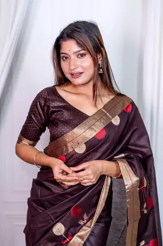 Dark Brown Linen Silk Saree With Jamdani Type Weaving Border And Zari Weaving Pallu With Blouse