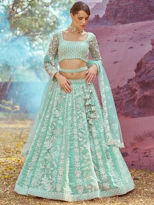 Sea green Organza Sequins embroidery Semi-Stitched Lehenga choli & Dupatta 4