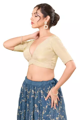 Light Gold Padded Net V Neck Blouse