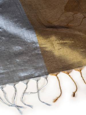 Aakar gold & silver handloom tissue saree with unstitched blouse piece 5