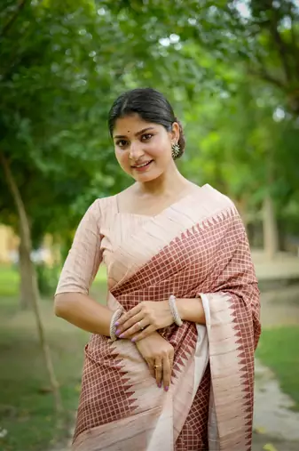 Brown wevon kantha tussare silk blend saree with printed design