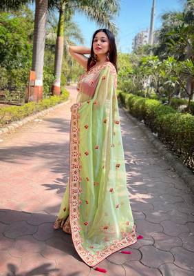 Green silver tissue silk blend heavy embroidery saree ceremonial saree 3