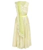 Chikankari with faux mirror blouse and lehenga with soft net dupatta (detailed with faux mirror lace)