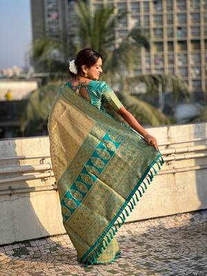 Begie zari woven tissue silk saree with unstitched blouse piece 2